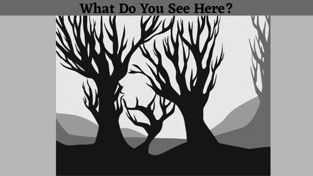 Using Your 140+ IQ Level With 20/20 Vision To Find Out What Is Appearing In This Mind-Blending Leaf-Less Tree Optical Illusion