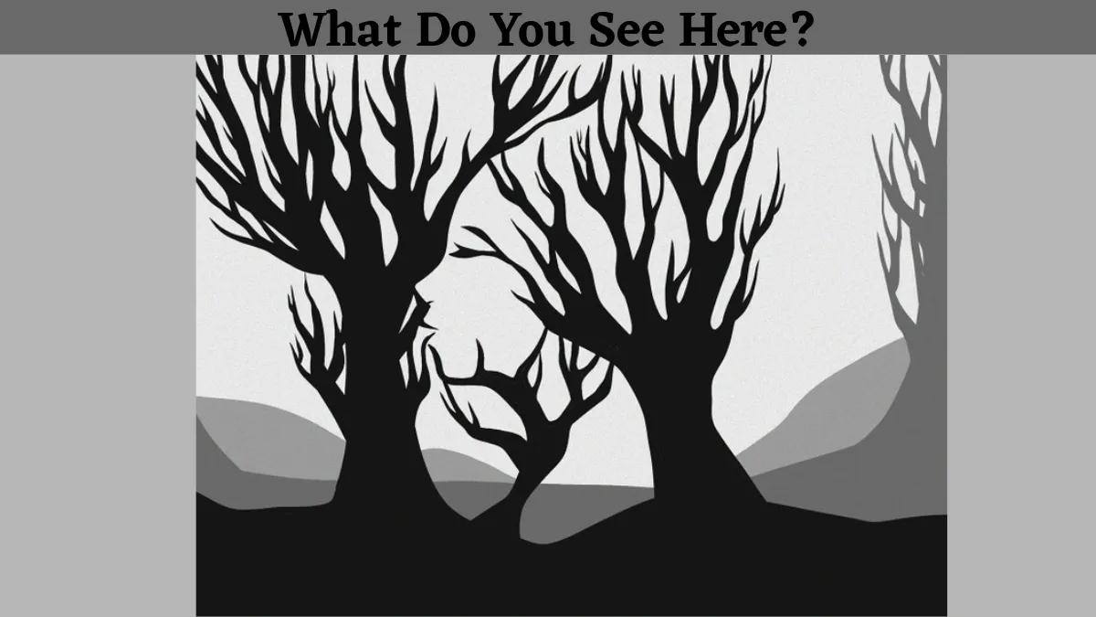 Using Your 140+ IQ Level With 20/20 Vision To Find Out What Is Appearing In This Mind-Blending Leaf-Less Tree Optical Illusion