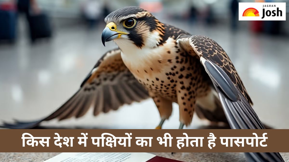 दुनिया का ऐसा देश, जहां पक्षियों का भी बनता है पासपोर्ट, यहां जानें