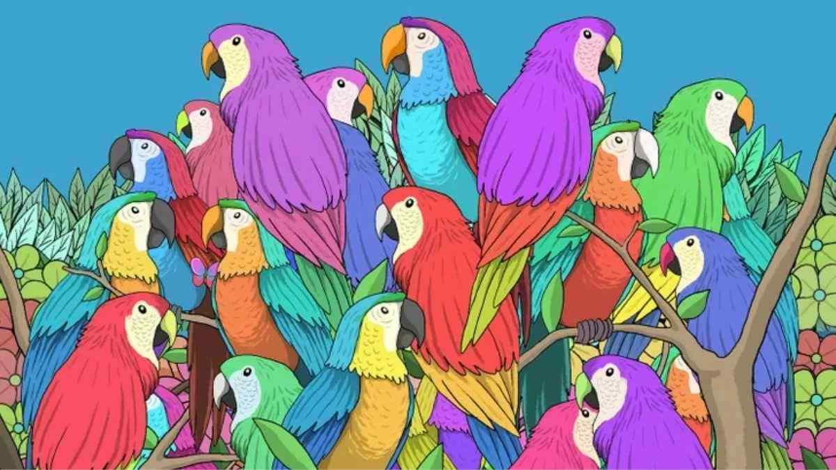Only 2% With Eyes Like Hunter Can Spot The Hidden Butterfly In 23 Seconds!