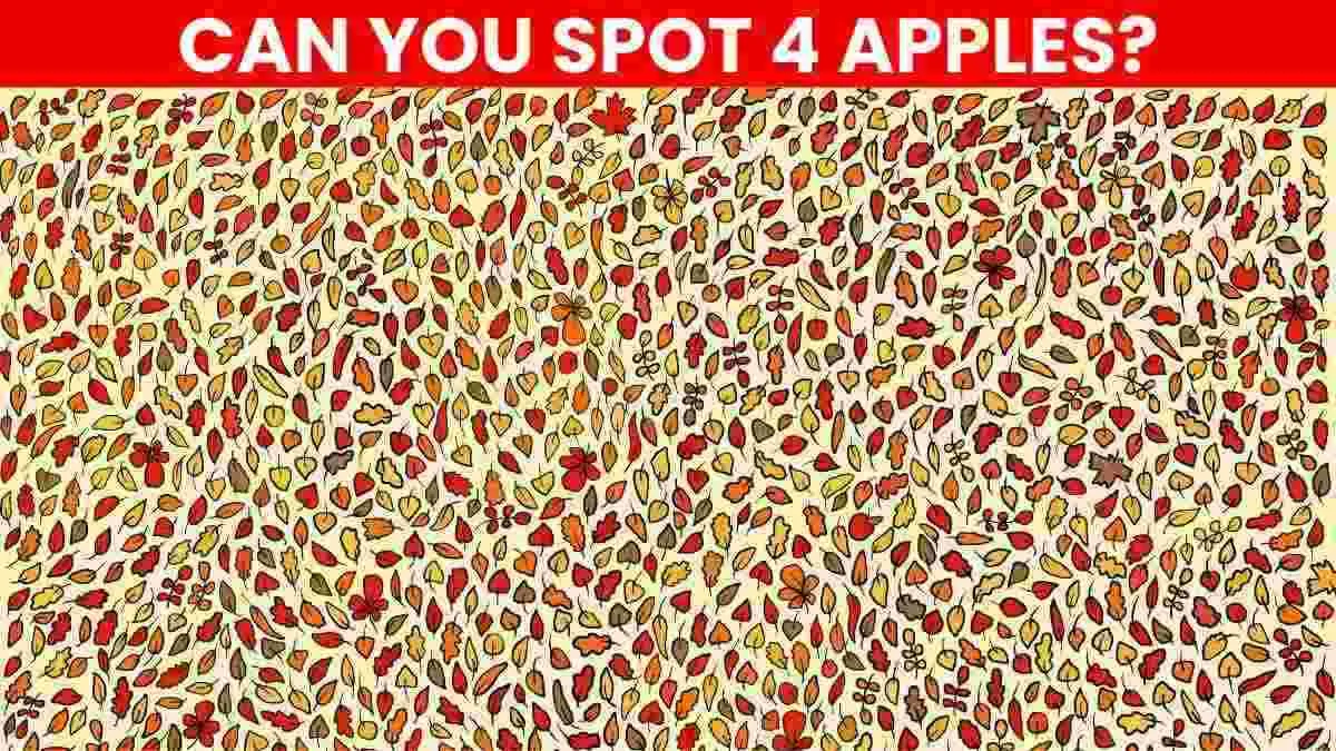 Spot four apples hidden in this picture puzzle!