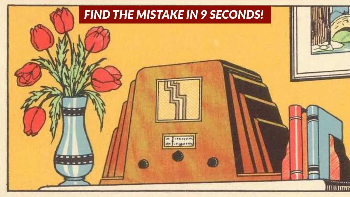 Find the mistake in 9 seconds!