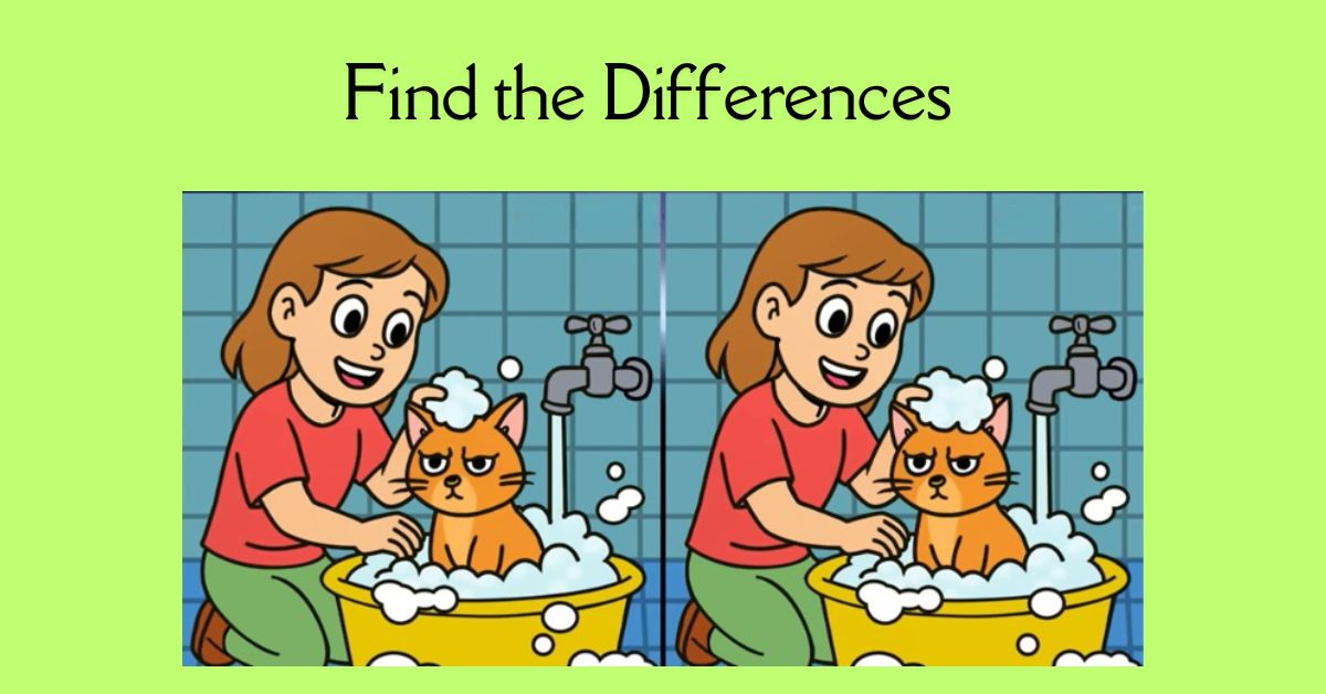 Spot the 3 Differences in Girl Bathing Her Cat Beat the 33-Second Challenge!