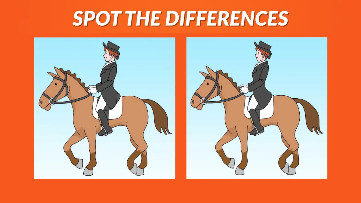 Spot 3 differences in 31 seconds!