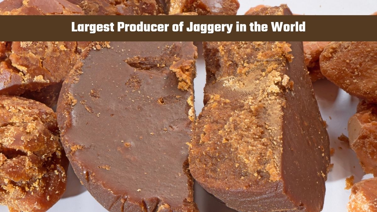 Which Country is the Largest Producer of Jaggery in the World?