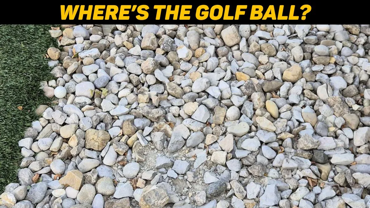 Where's the golf ball?