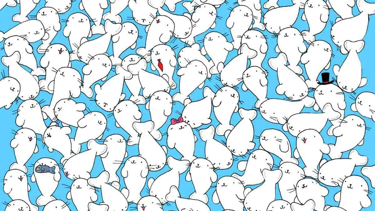 Spot the marshmallow.