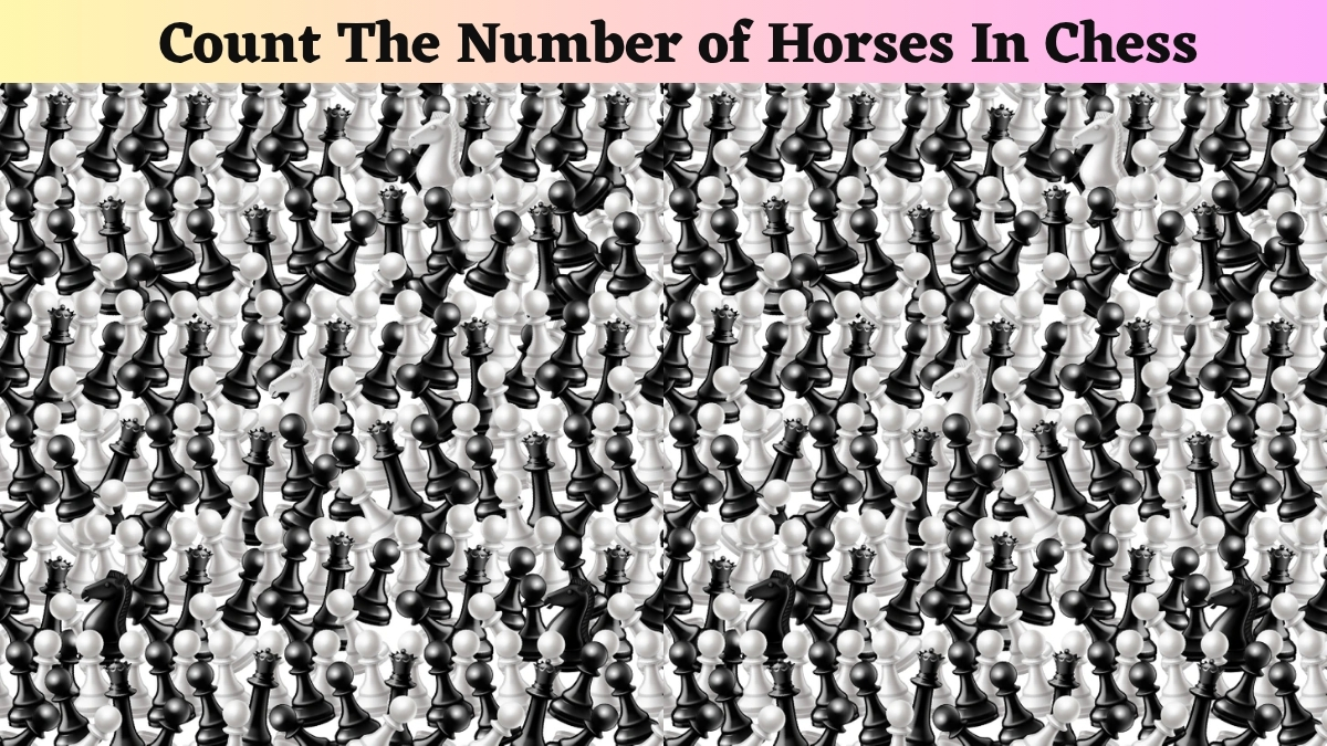 Are You a Brilliant Chess Master? Then, using your hawk-eye with 20/20 vision, find the number of horses in chess