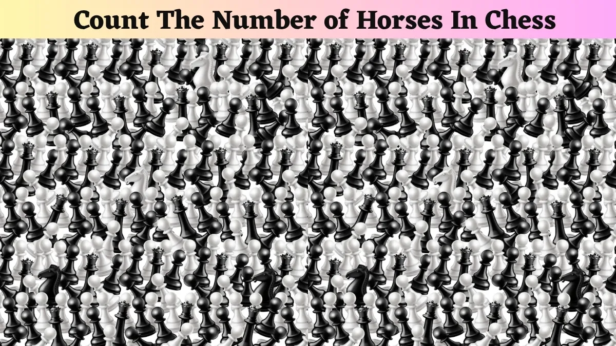 Are You a Brilliant Chess Master? Then, using your hawk-eye with 20/20 vision, find the number of horses in chess