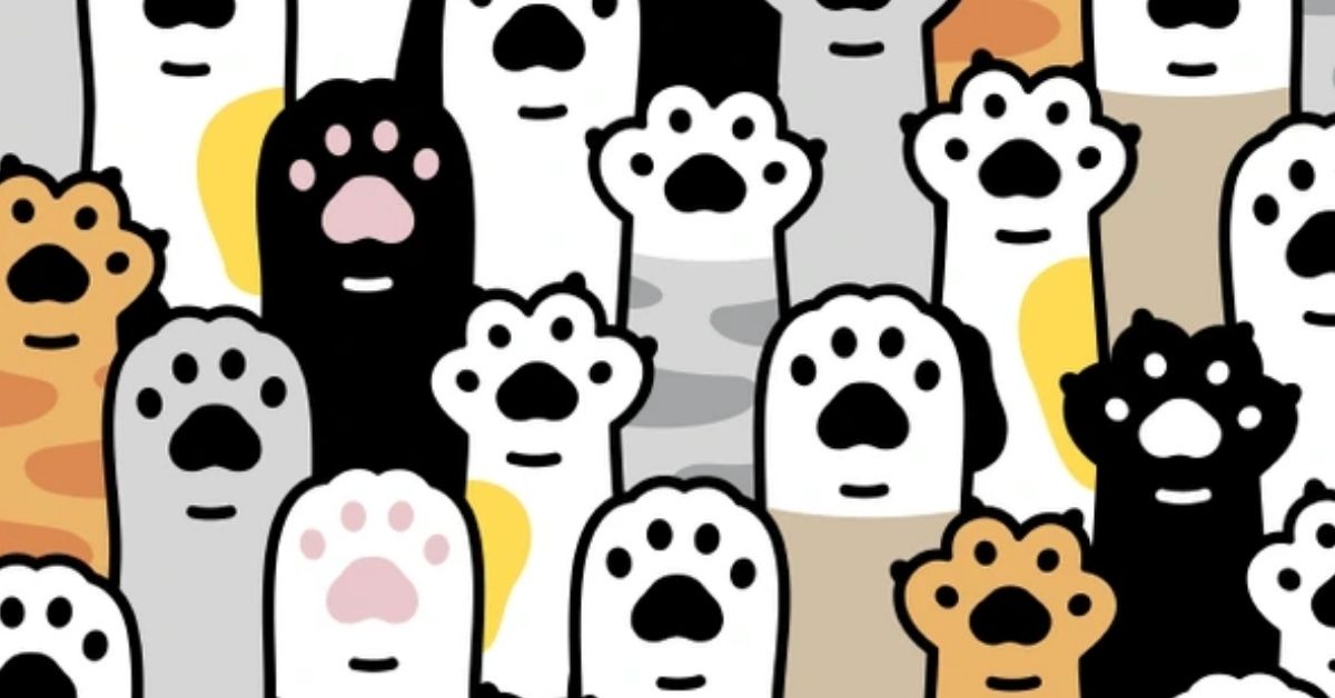 This Puzzle is For Brilliant Cat Lovers with an IQ Over 155: Find the Hidden Heart Among These Fluffy Cat Paws