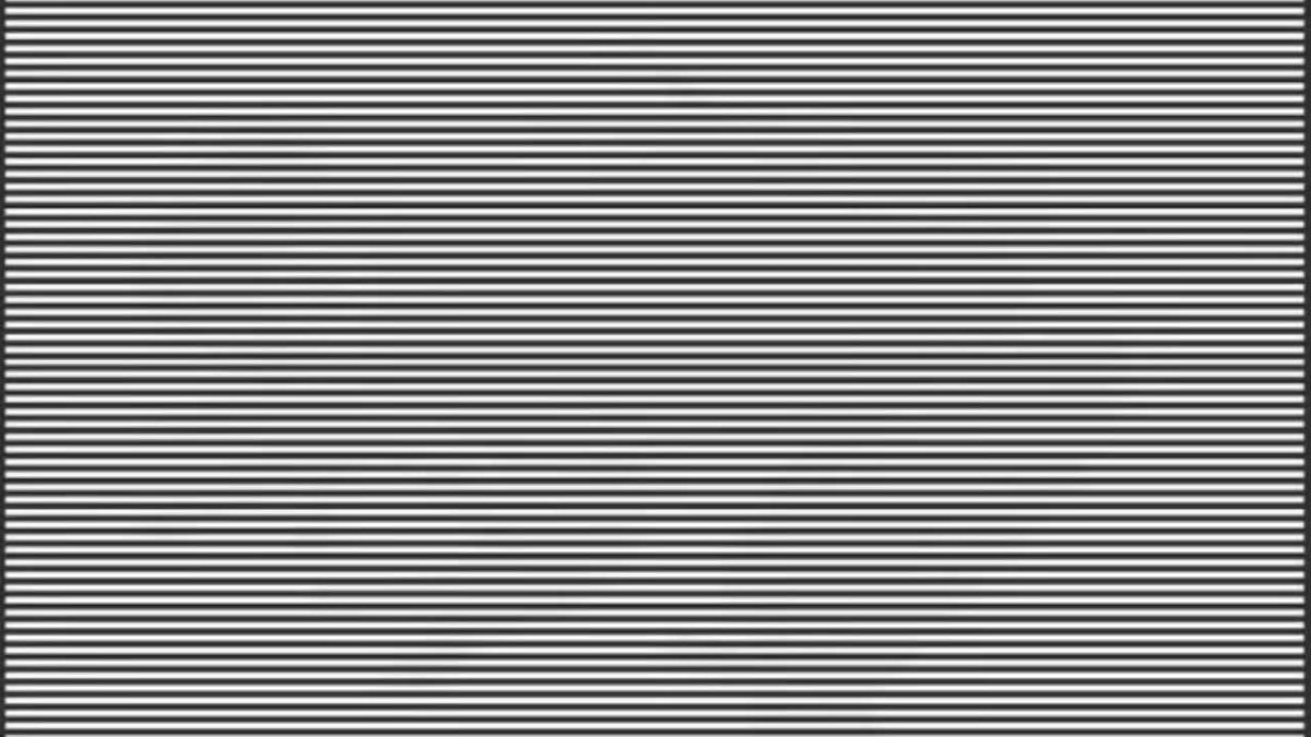 You have exceptionally sharp eyes if you can find the hidden animal in 11 seconds!
