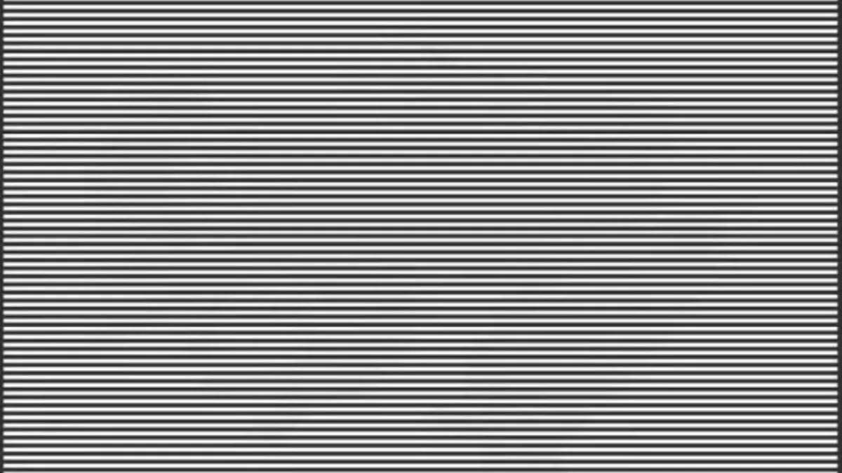 Find the hidden animal