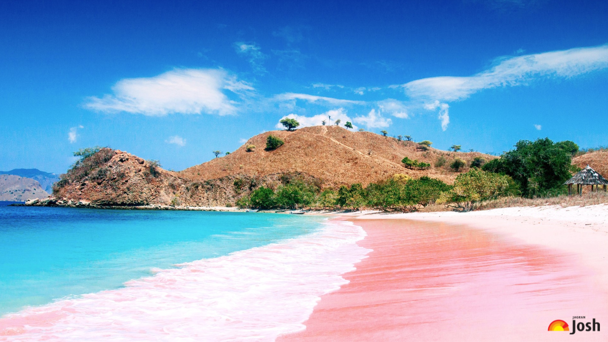 Where is the World's Pinkest Beach? Exploring Komodo's Breathtaking Pantai Merah