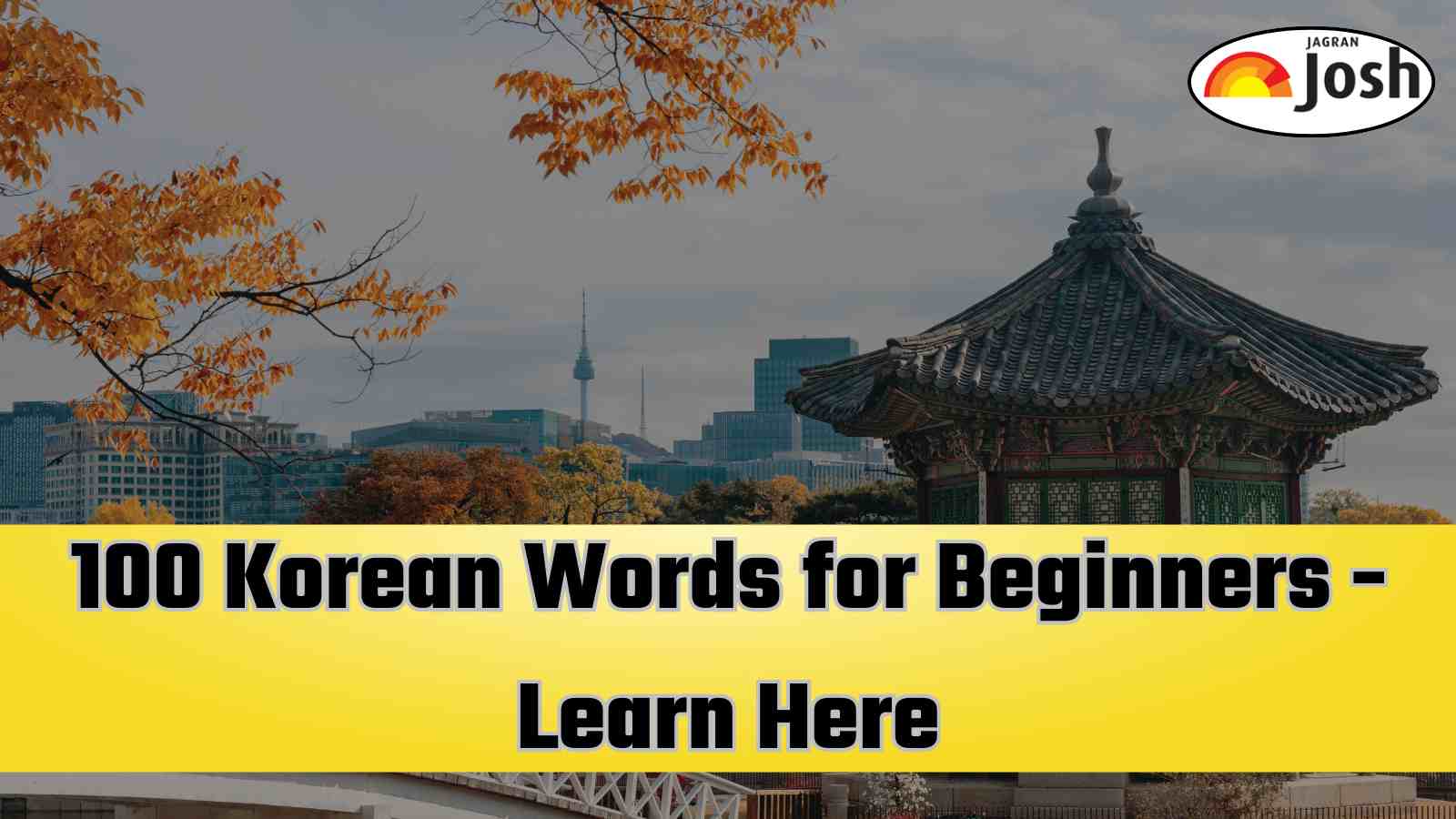  Korean Vocabulary: 100+ Basic Words with Meaning to Learn Easily
