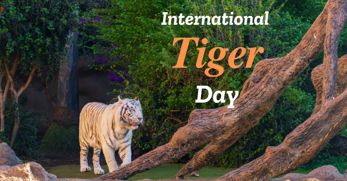 International Tiger Day 2025