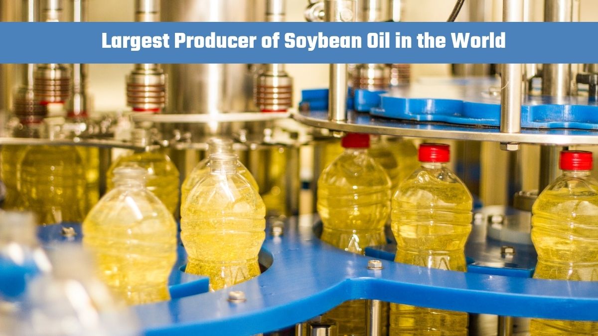 Which Country is the Largest Producer of Soybean Oil in the World?
