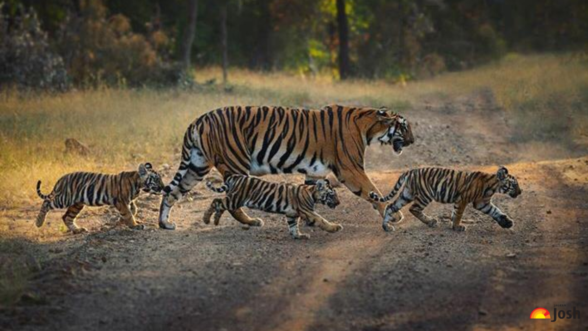 List of Tigers Reserves in India