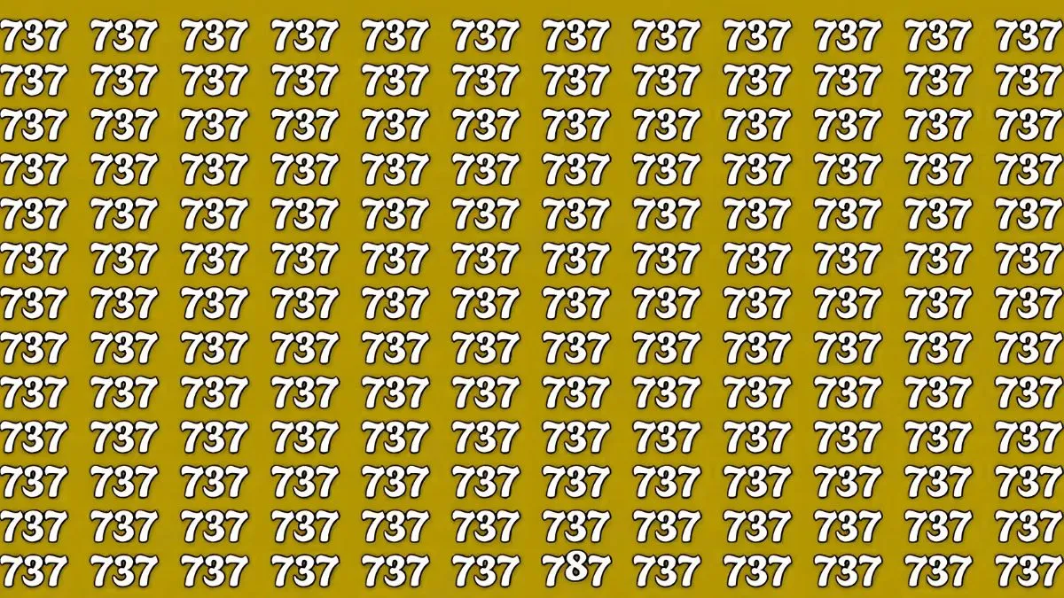Find 787 in 7 seconds