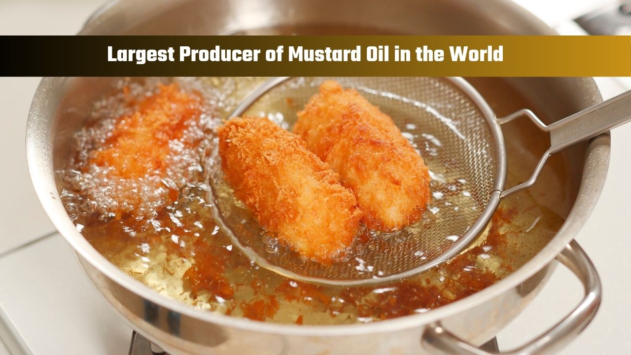 Which Country is the Largest Producer of Mustard Oil in the World?