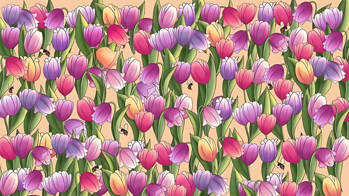 Think You’re Sharp? Find the Bell Hidden in Tulips in 9 Seconds!