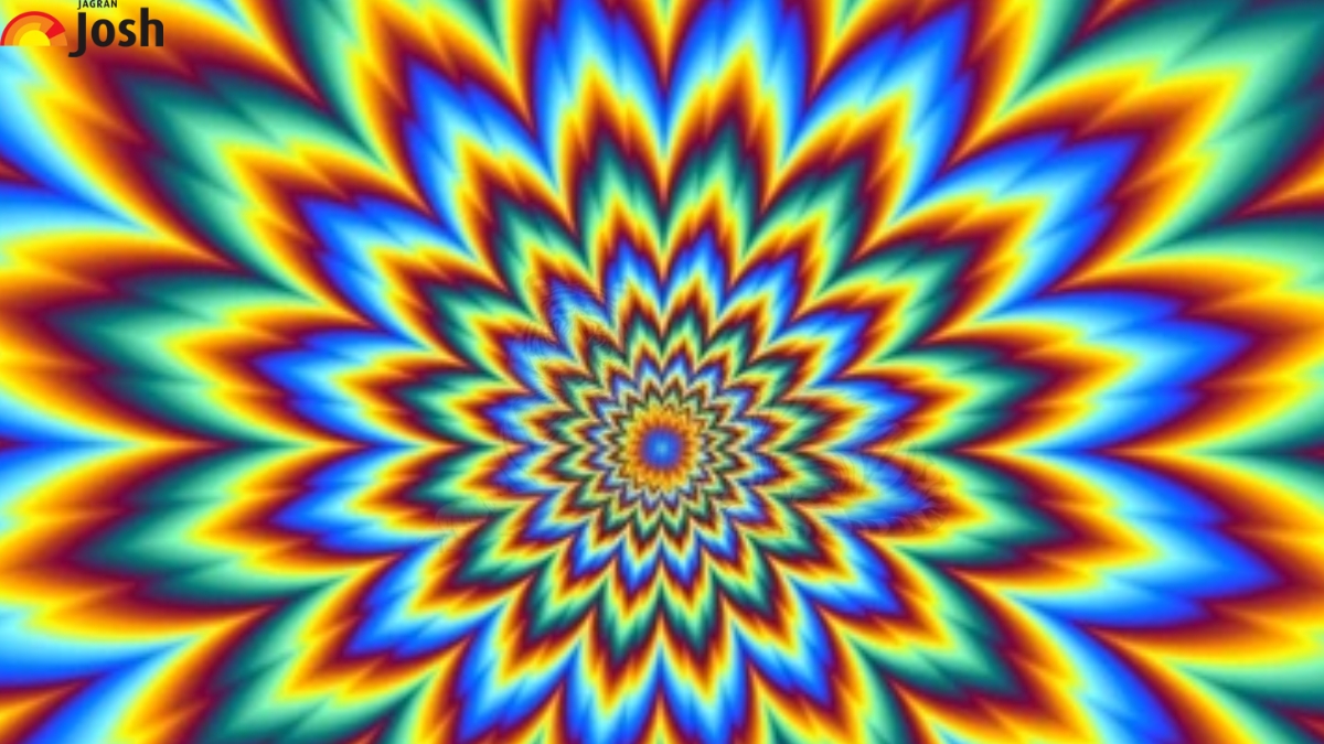 Using Your Hawk-Eye With 6/6 Eye-Vision, Find Out Which Animal is Hidden in this Motion Optical  Illusion