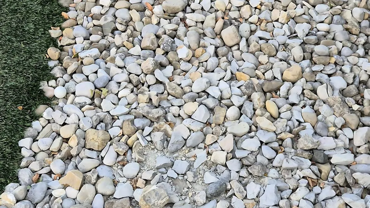 Only 1% can find the hidden golf ball