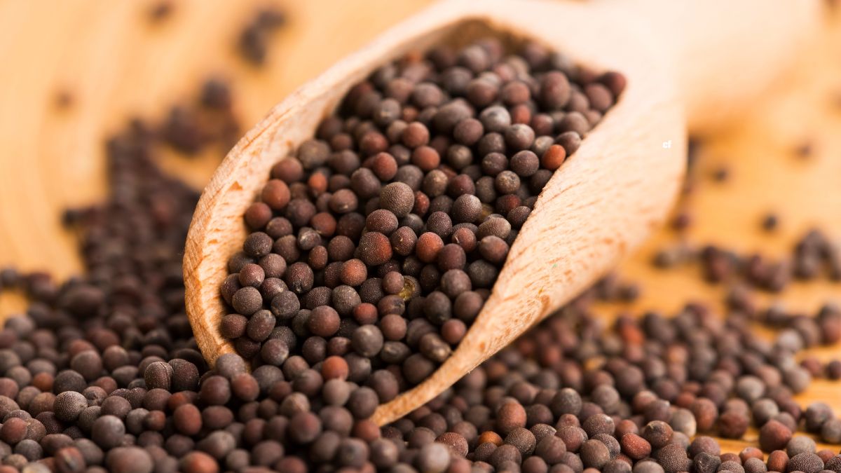 Which Country is the Largest Producer of Mustard Seeds in the World?