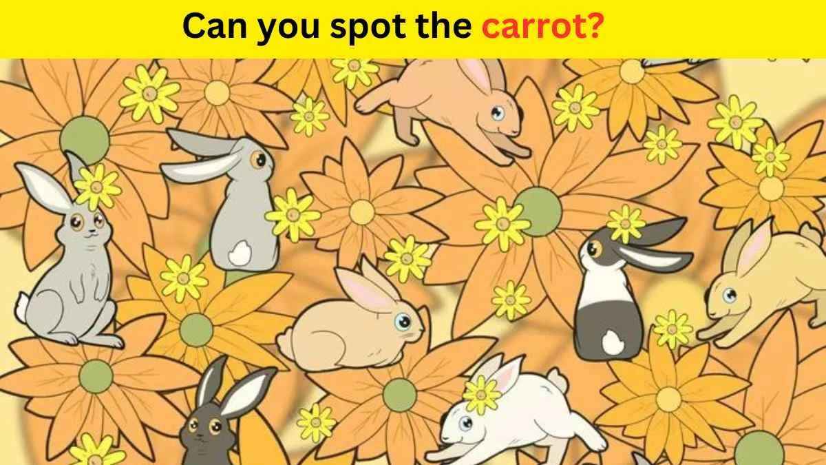 Bunnies are Looking For a Carrot! Do You Have the Sharpest 20/20 Vision to Spot It in 12 Seconds?
