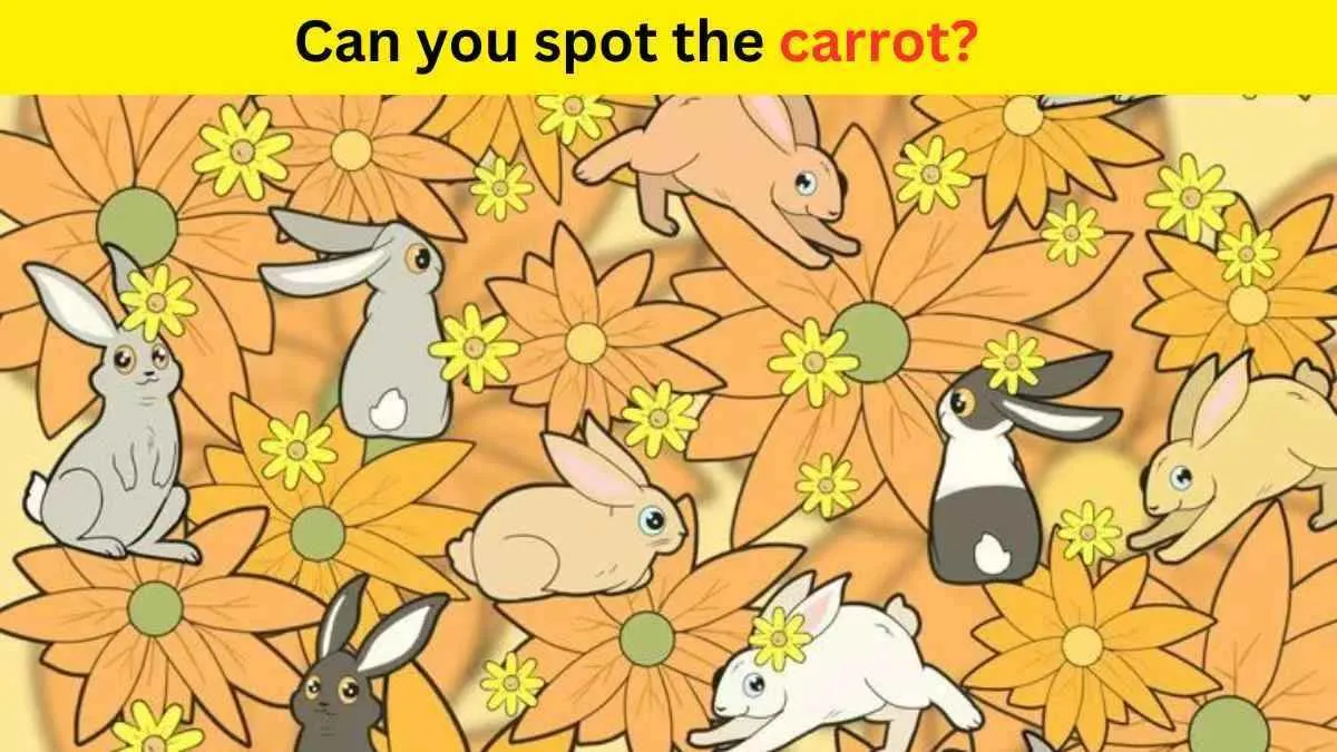 Spot the carrot quick!