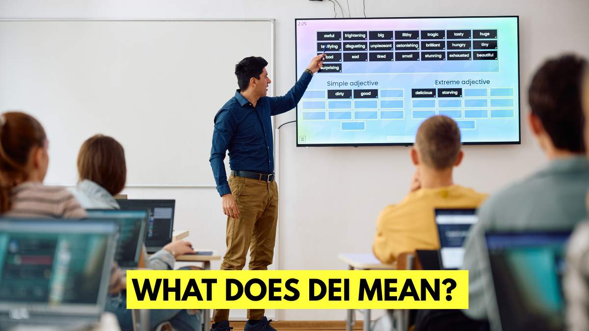 What Is a DEI Program? Meaning, Benefits, and Why It Matters