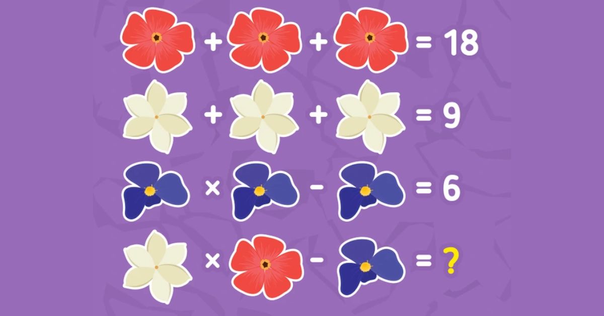 Are You the Ultimate Puzzle Master with Ramanujan-Level IQ? Find the Hidden Value of the Final Equation