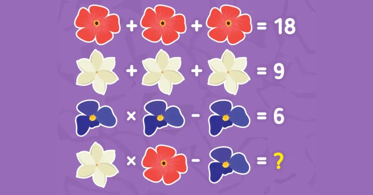 Solve the Equation in this Challenging Brain Teaser IQ Test