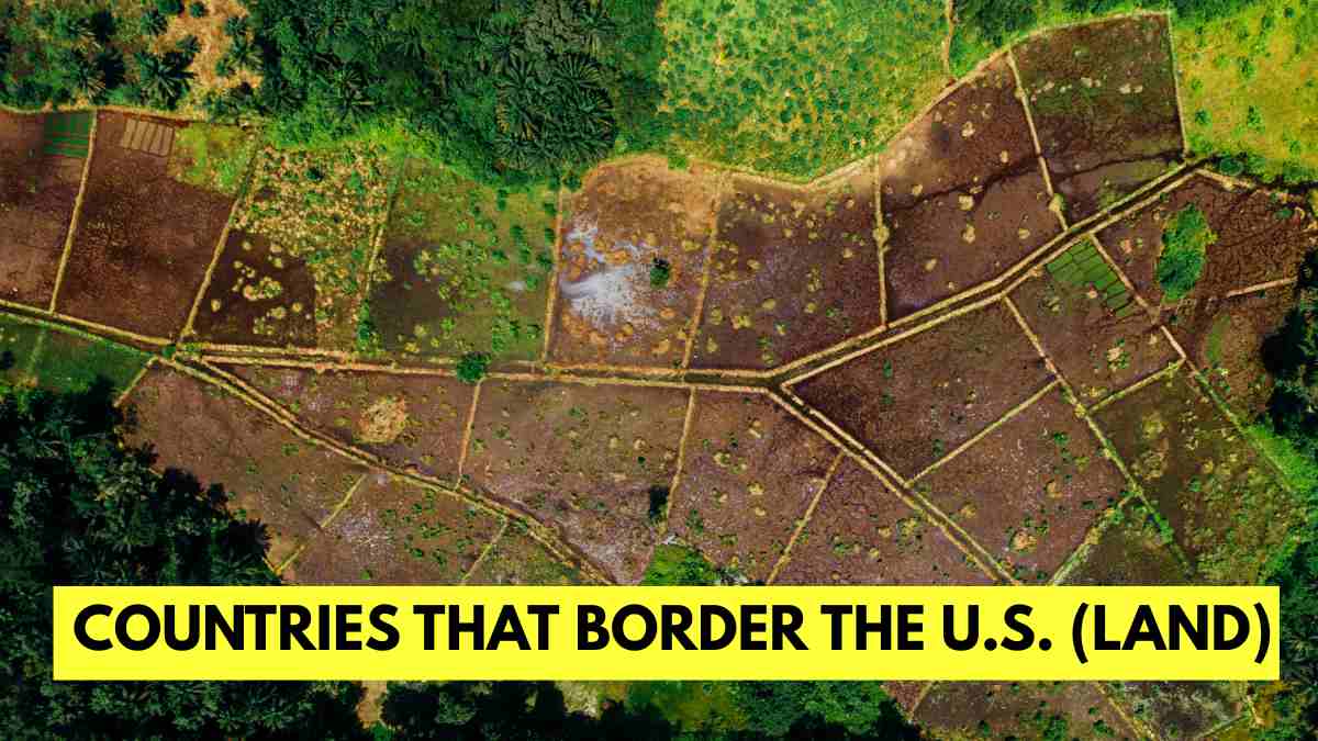 Which Countries Border the U.S. by Land?