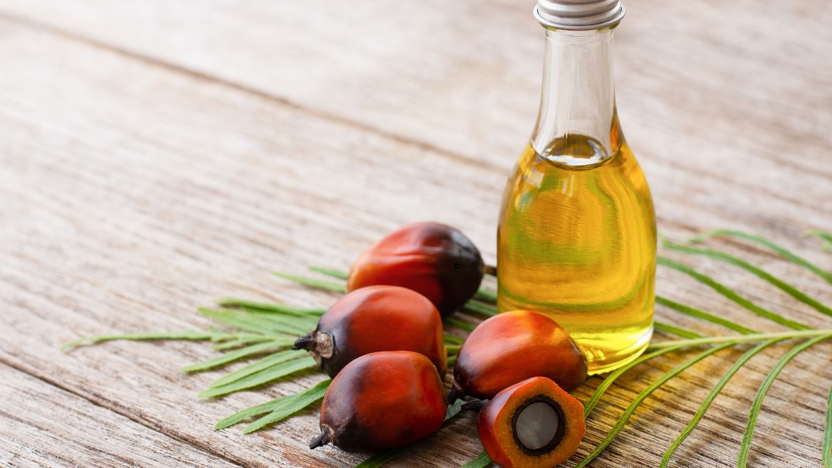 Which Country is the Largest Producer of Palm Oil in the World?