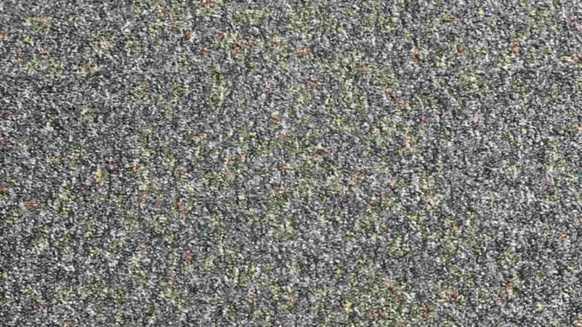98% People Failed This Brain Teaser Optical Illusion Challenge! Spot The Hidden Pencil Lead On This Carpet In 25 Seconds!
