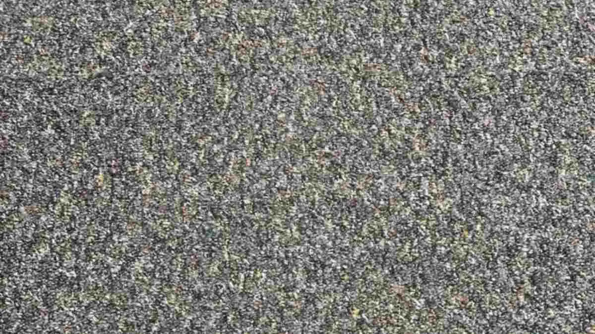 Spot the pencil lead on the carpet.
