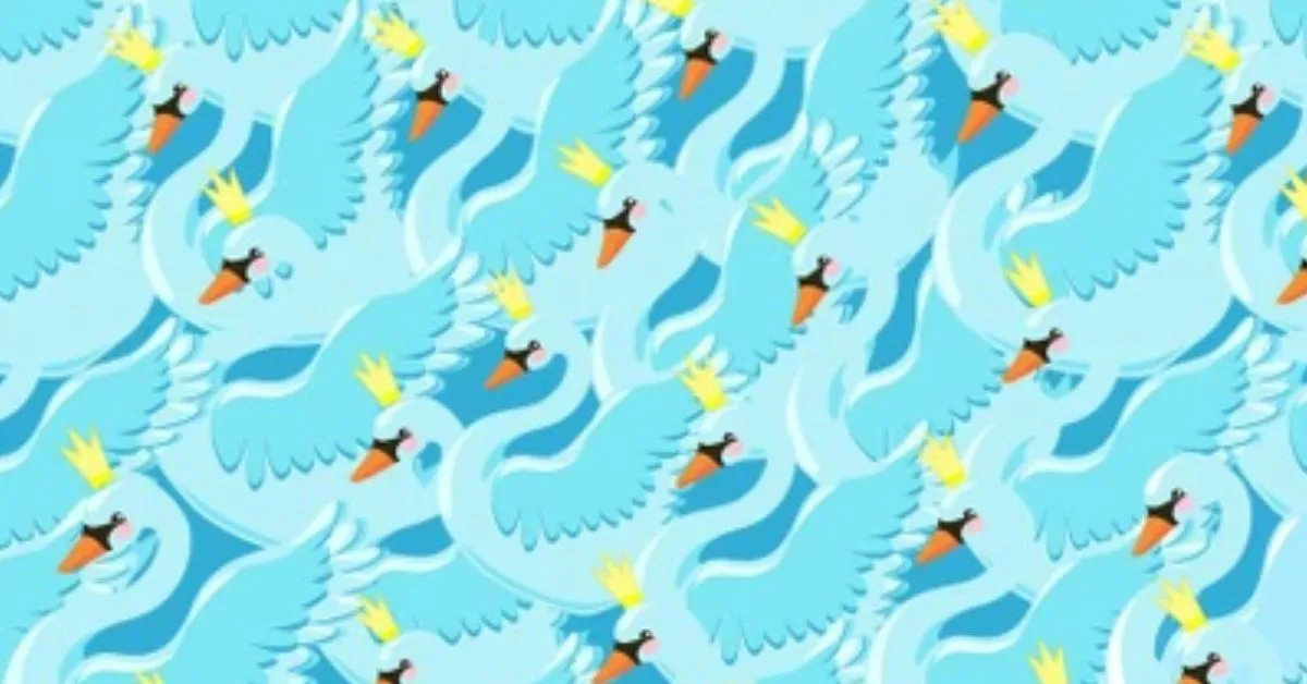 Find the Hidden Crownless Swan