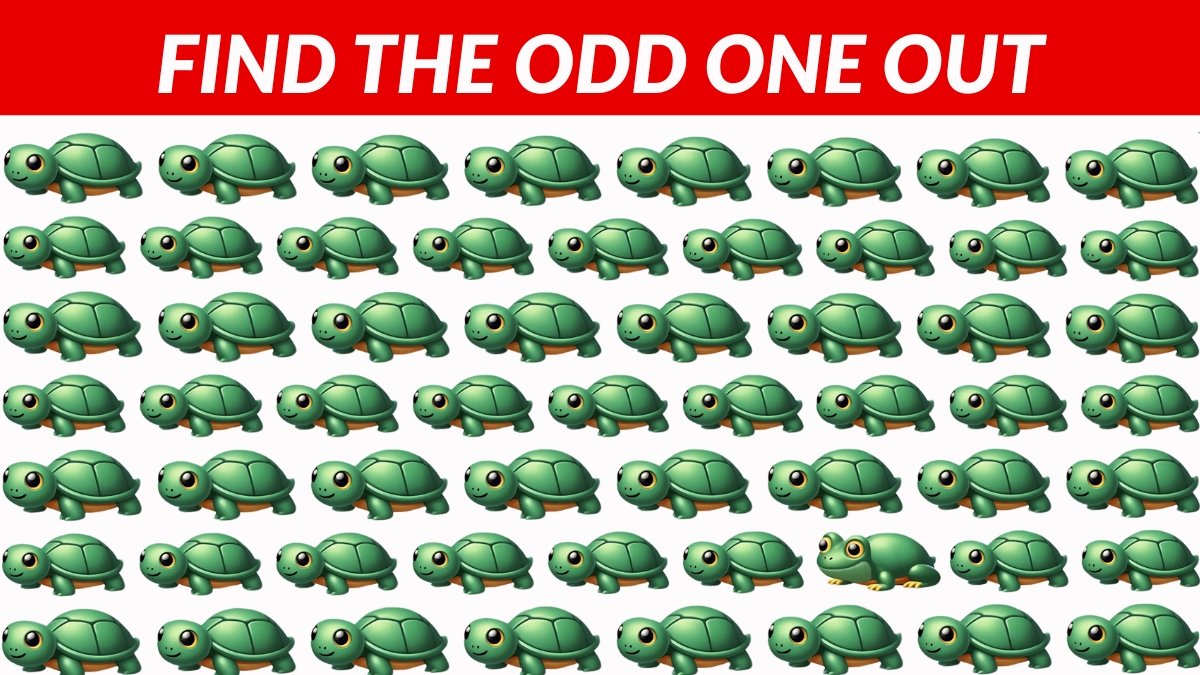 You Have 20/20 Vision if You Can Find the Odd One Out in 4 Seconds!
