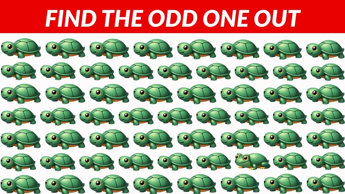 Find the odd one out