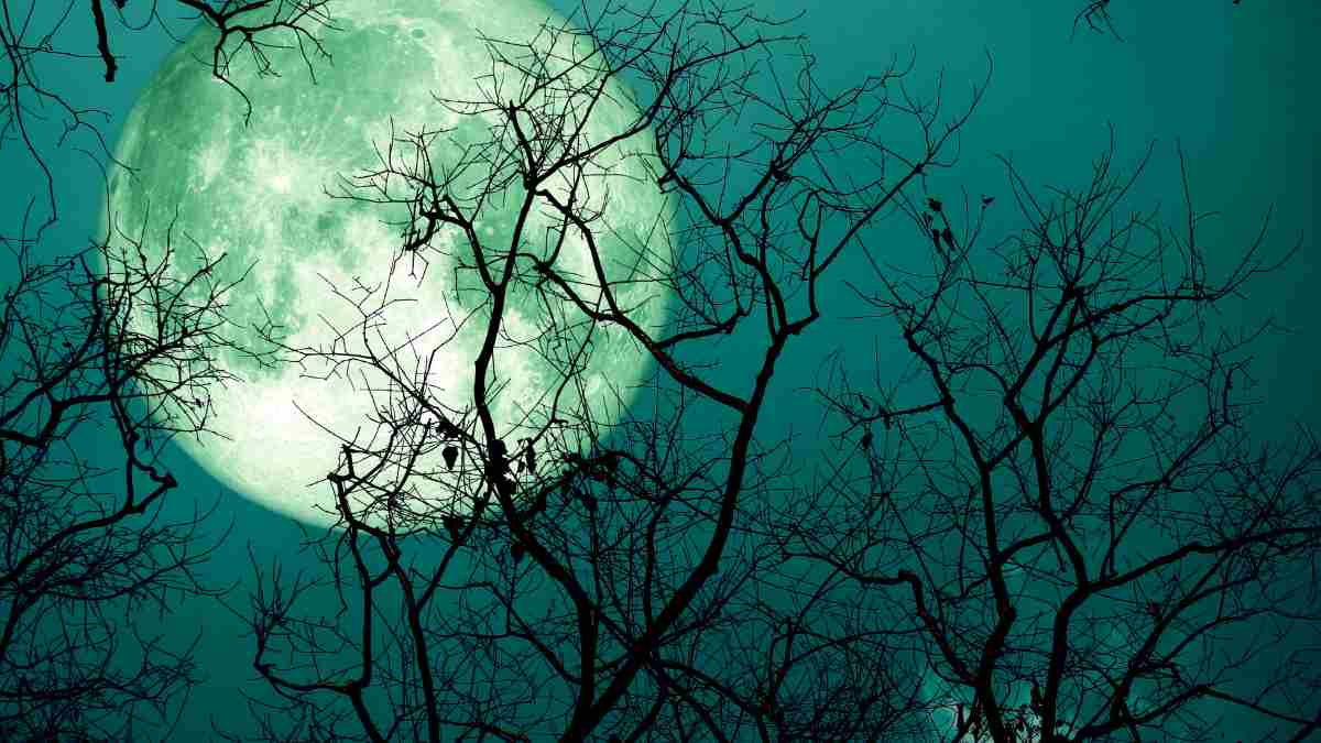 Sturgeon Moon 2025: Exact Time and Date to Watch August's Full Moon Rise in U.S. Cities