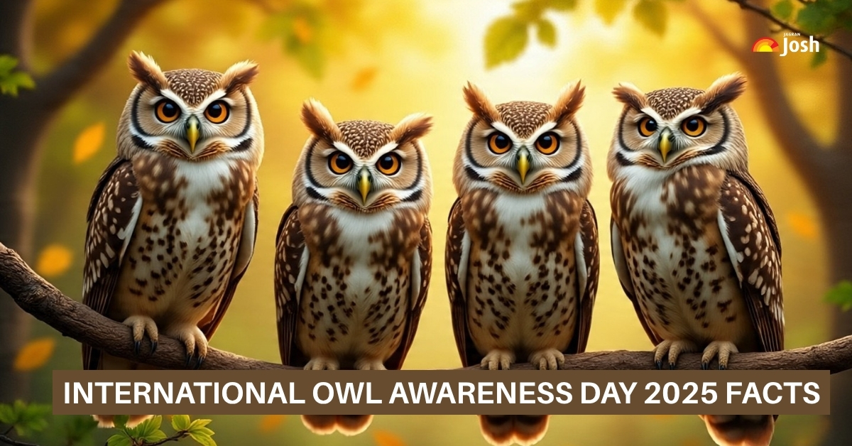 International Owl Awareness Day 2025: 10 Amazing Facts about Owls