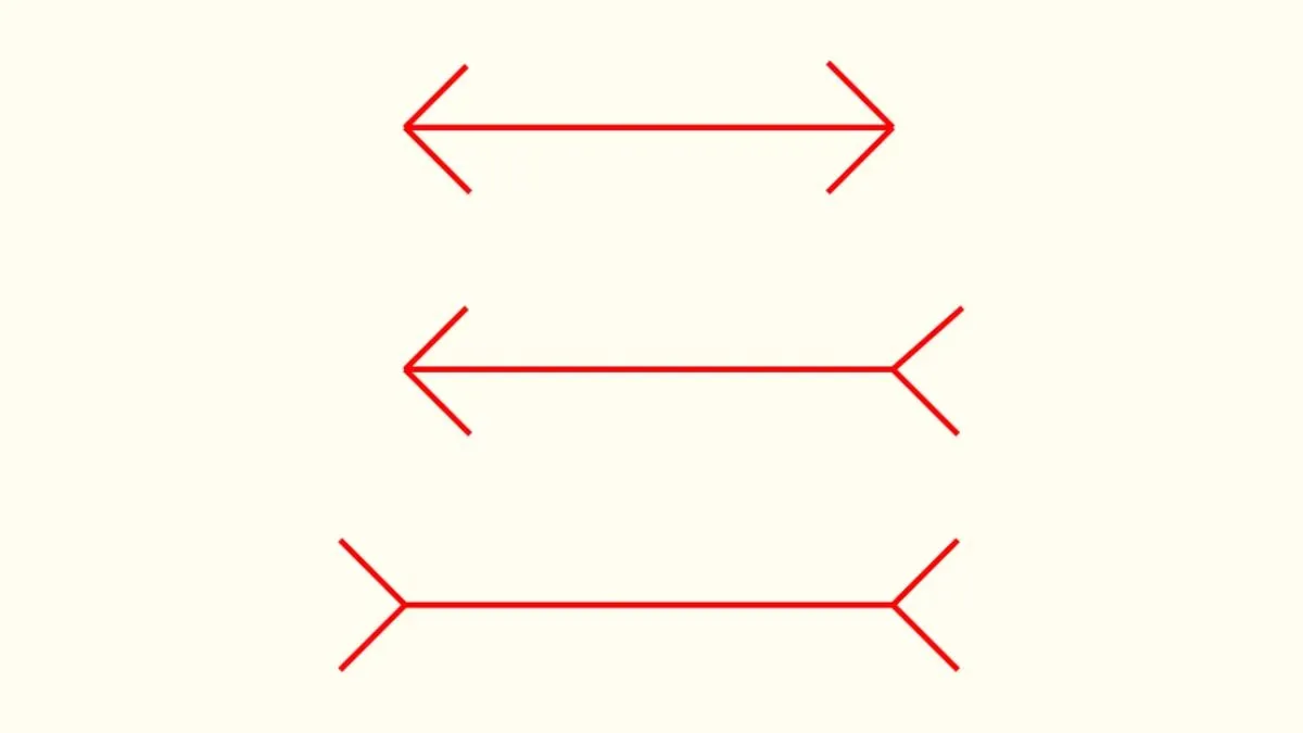 Which line is longer?