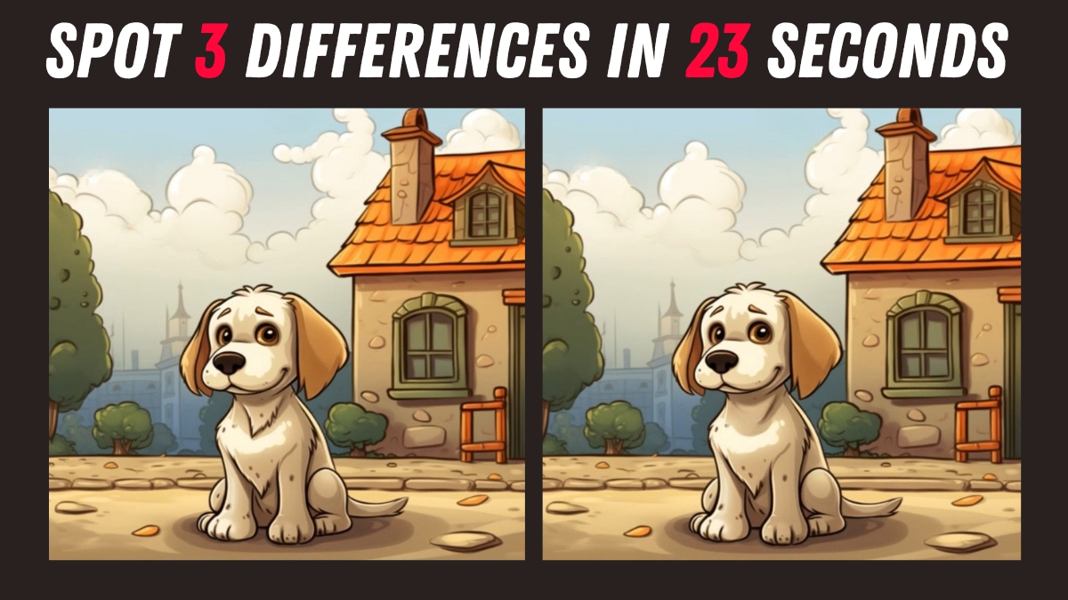 Spot 3 Differences Sitting Dog in 23 Seconds!