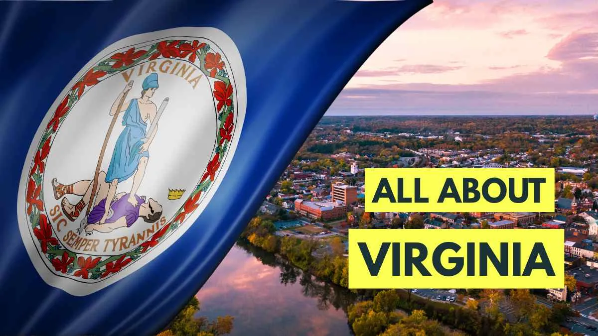 All About Virginia