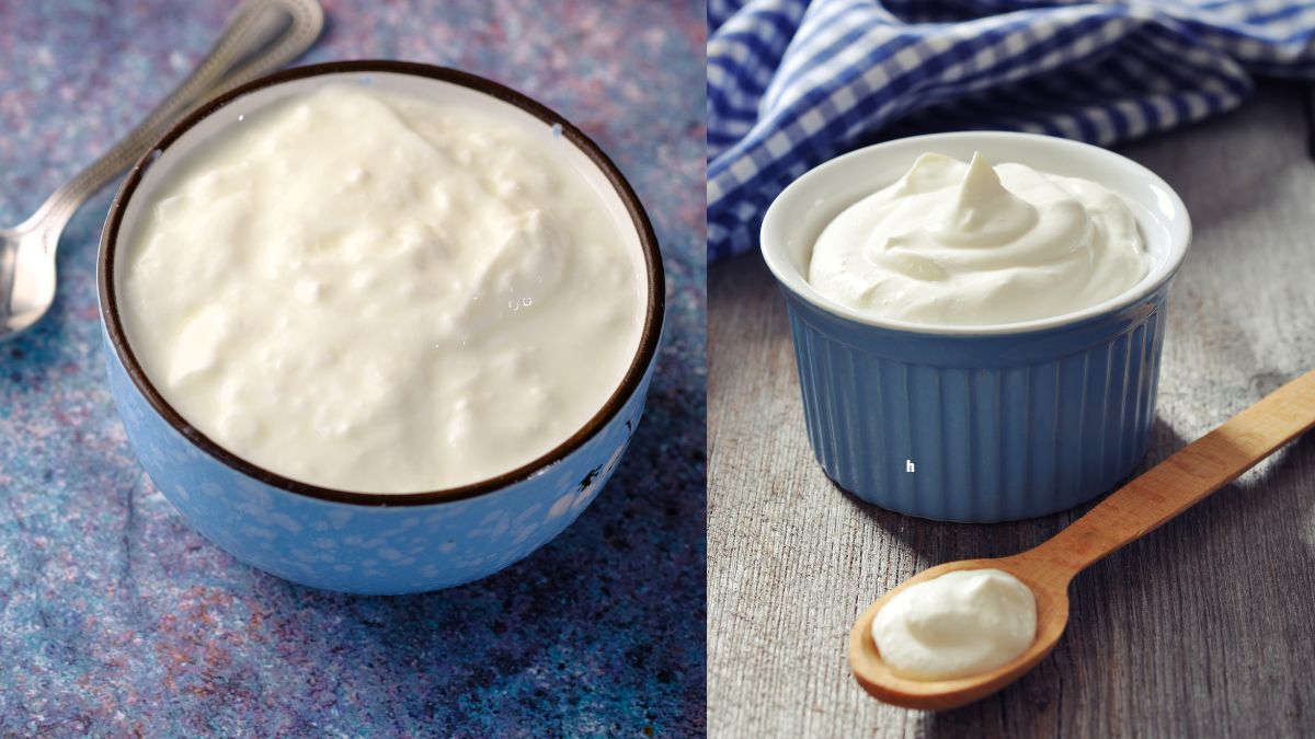 Difference Between Yogurt and Greek Yogurt
