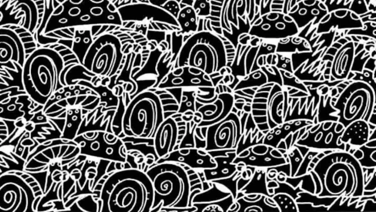 Spot the hidden car in this optical illusion image.