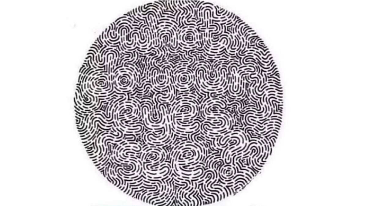 What Do Your Eyes See? Only High IQ People With 10/10 Vision Can Spot The Hidden Sentence In 22 Seconds!