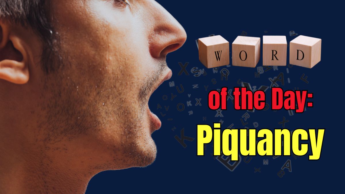 Word of the Day: Piquancy Meaning; August 5, 2025
