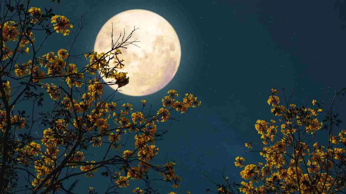 When is the Next Full Moon?
