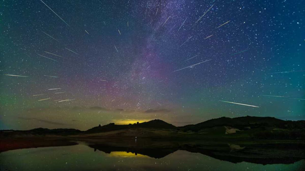 Perseid Meteor Shower 2025: Check When and Where to Watch the Meteor in the U.S. 